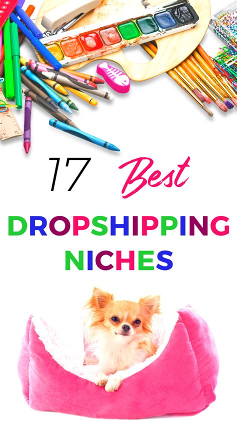 17 Best Dropshipping Niches In 2023 Dropshipping Products Drop