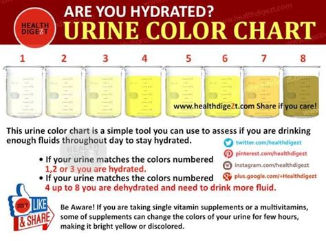 Urine chart