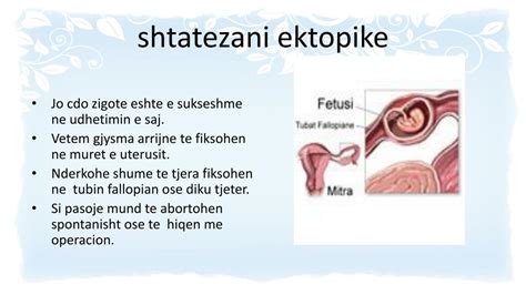 Ppt Leksioni Nr 4 Zhvillimi Prenatal Dhe Postnatal Powerpoint