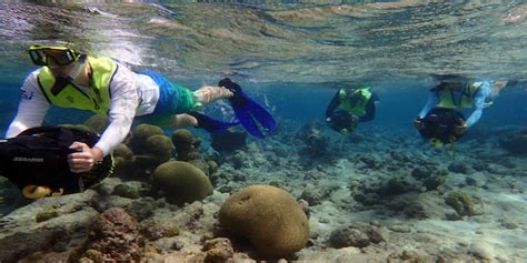 Three People In Scuba Gear Are Swimming Over Corals