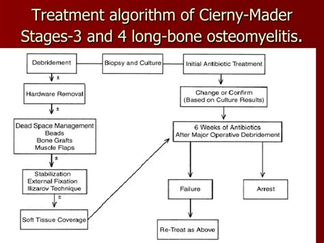 Osteomyelitis In Adults