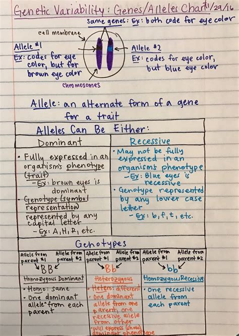 Alleles, genotypes, and monohybrid crosses. Mrs. Paul - Biology: Advanced 2016-2017 Biology Notes