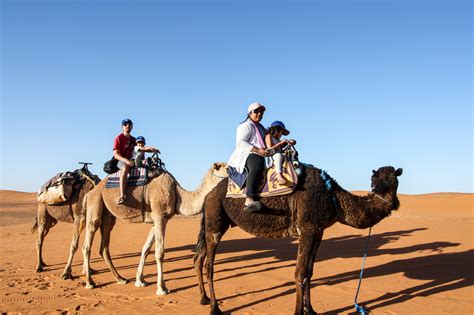 17) go to another country and ride. Camel Riding Tips for Desert Adventures (and Dummies ...