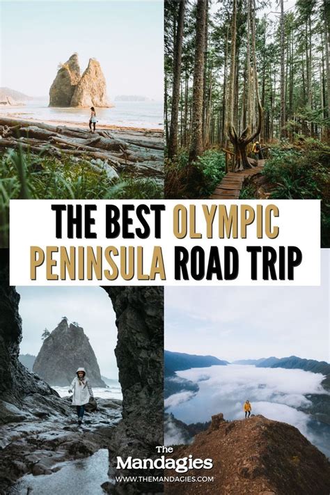 15 Jaw Dropping Stops To Take On Your Olympic Peninsula Road Trip