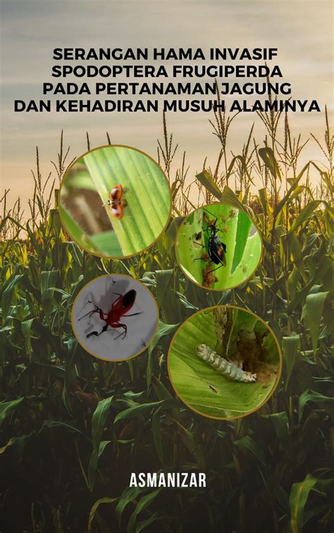 Katalog Buku Serangan Hama Invasif Spodoptera Frugiperda Pada