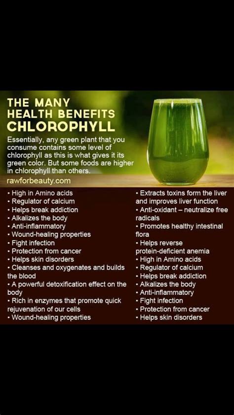 Chlorophyllbenefits Many Health Benefits Of Chlorophyll Heres To Your Health Pintere