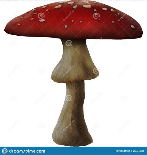 Variante 1 Dos Fungos De Cogumelos Vermelhos Foto De Stock Ilustração