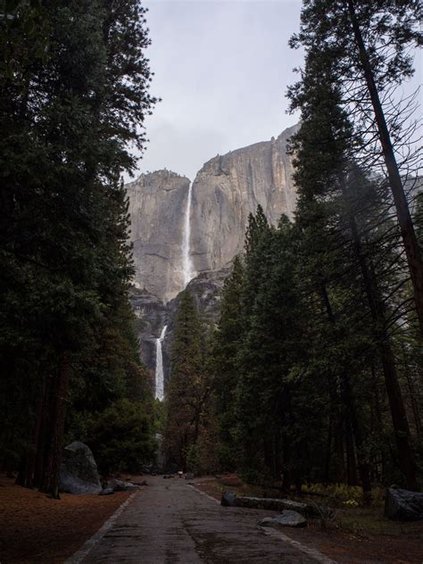 Yosemite National Park Chooses New Concessionaire | myMotherLode.com