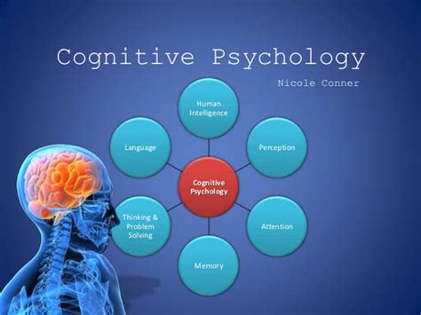 A Psychologist Guide An Introduction To Cognitive Psychology
