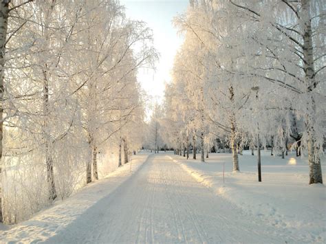 Snowy Path By Paradisebird94 On Deviantart