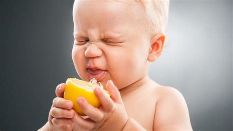 Babies Eating Lemons For The First Time New Compilation Top