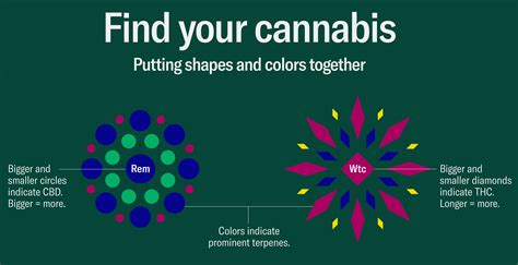 Leafly Cannabis Guide Uses Data And Design To Help People Better