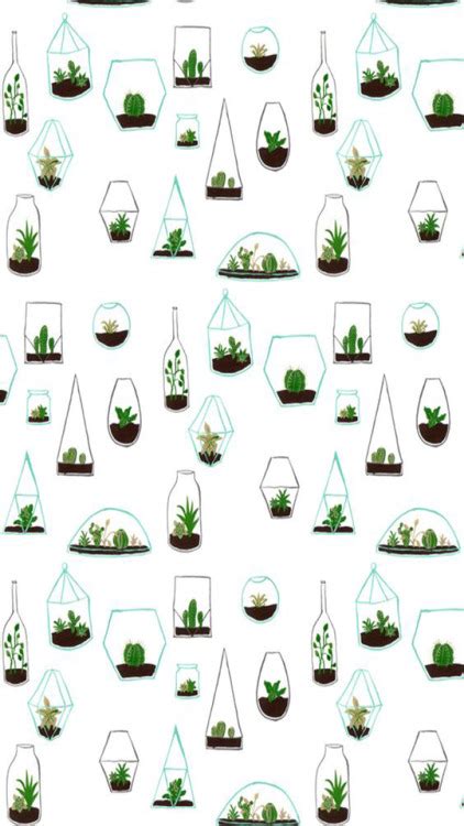 cactus wallpaper | Tumblr