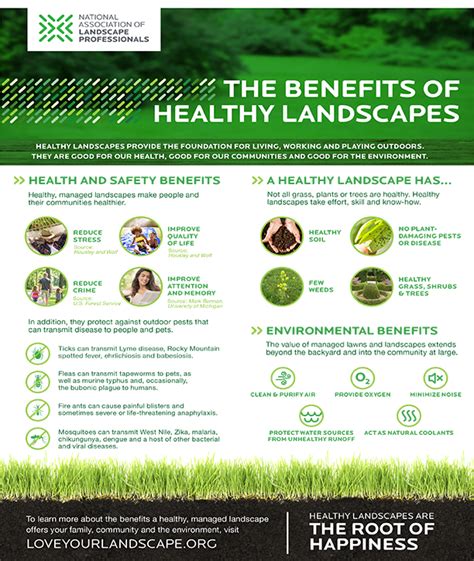 The Benefits Of Landscapes