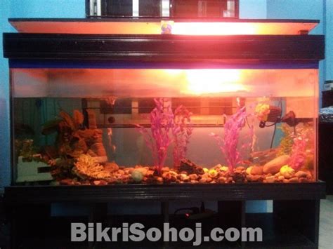 Whether you just started an aquarium or are a veteran fish owner, we can set you up or show you how to step up your tank game. Pet & Animal Accessories : 4 feet long aquarium for sale ...