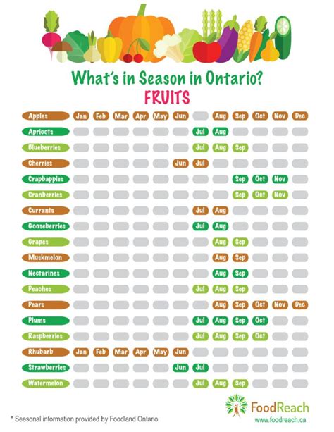 When Are Fruits In Season Chart