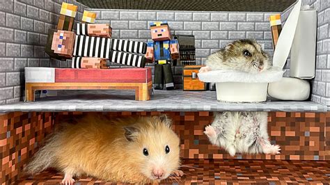 🐹 Hamsters Escaped From Jail Minecraft Maze 😲 Real Life Police Traps