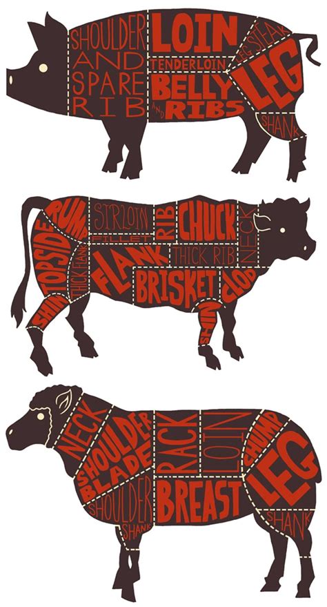Illustration of mutton cute french farmhouse sheep and lamb cut chart silhouette vector clipart. Pin on beef & steak recipes