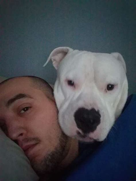 Man Puts His Car Up For Sale To Save His Dog's Life - For ...