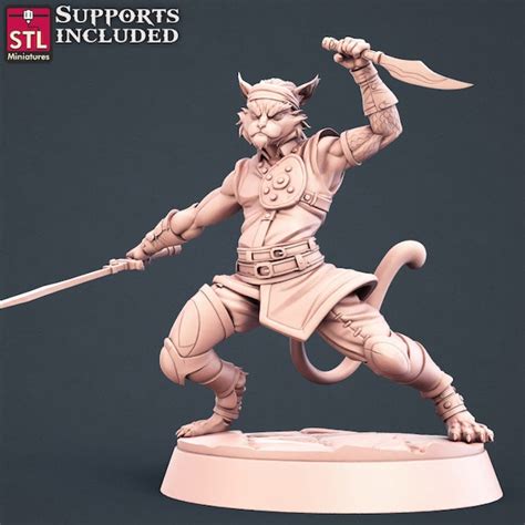 Tabaxi Fighter Etsy