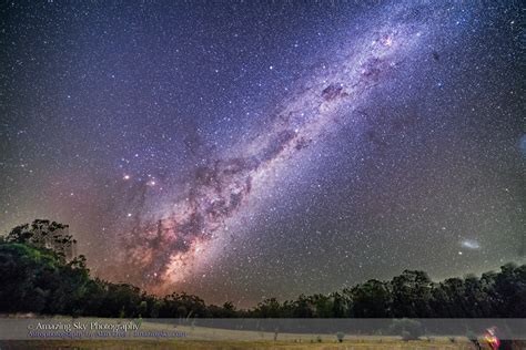 To see it, start by looking for the southern cross. Dark Emu and Scorpius Rising | The Dark Emu of aboriginal ...