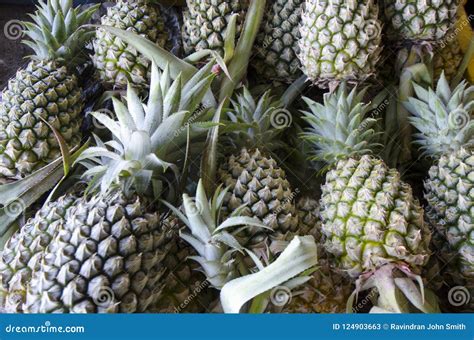 Pineapple Stock Image Image Of Atmosphere Flowers 124903663