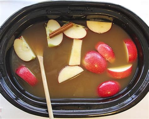 It has a major kick! Apple Pie Moonshine Recipe | Litehouse Foods | Slow cooker ...