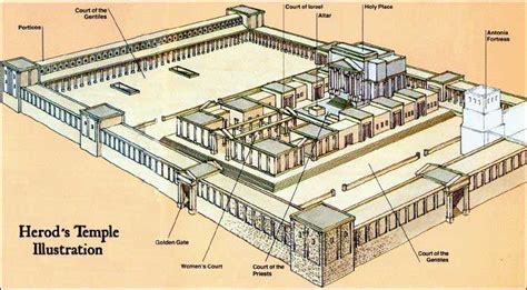 Herods Temple Illustration Bible History