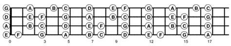 Way To Find The Notes On A 4 String Bass Fretboard