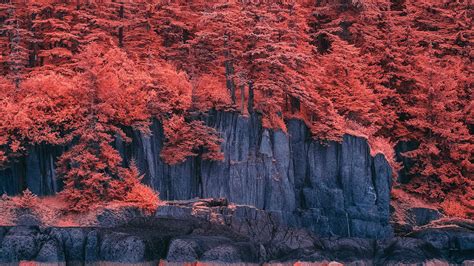 Anime Red Tree Wallpapers Wallpaper Cave