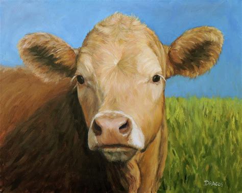 Guernsey Cow In Field With Blue Sky Painting By Dottie Dracos Fine