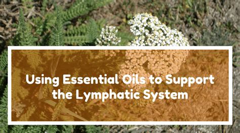 Using Essential Oils To Support The Lymphatic System