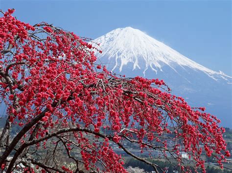 Mount Fuji Japan Wallpaper 1 1 1024x768 Wallpaper Herunterladen