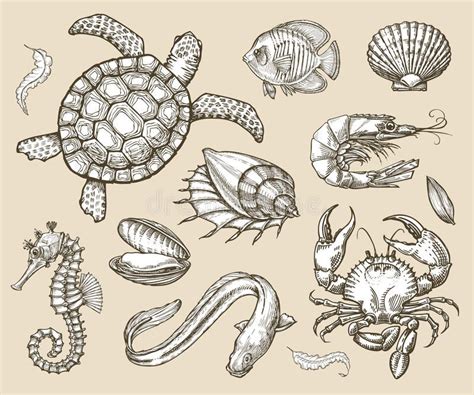 Hand Drawn Sketch Set Of Seafood Sea Animals Vector Illustration