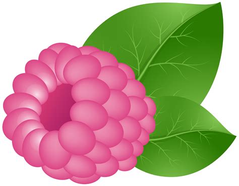 Raspberry Transparent Png Clip Art Image Gallery Yopriceville High
