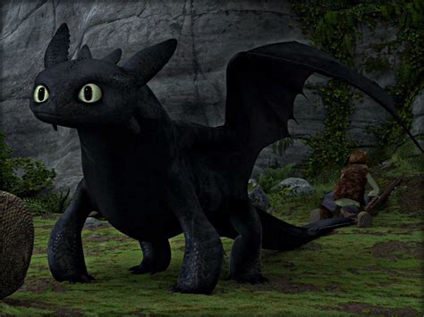 Toothless Toothless The Dragon Wallpaper 32987030 Fanpop