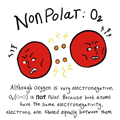 If the molecule is symmetrical, there will be no polarity, but if it is off, like the kcl or nh3, then it should be polar. Biology: Polar vs. Nonpolar Bonds - Expii
