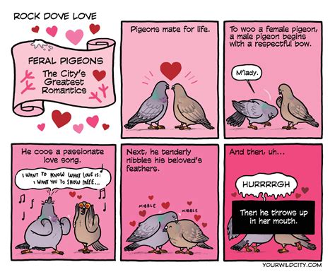 Pigeons Pictures And Jokes Funny Pictures And Best Jokes Comics
