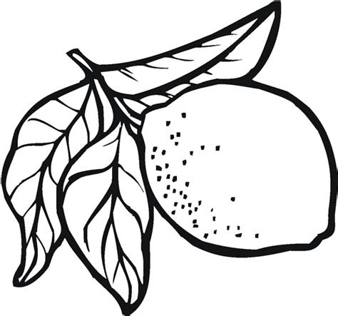Check spelling or type a new query. Lemon For Sale Coloring Page : Coloring Sky