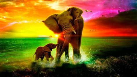 130 Elephant Android Iphone Desktop Hd Backgrounds Wallpapers