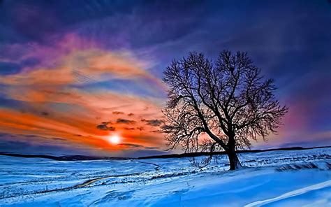 Winter Sunrise Nature Wallpapers Top Free Winter Sunrise Nature