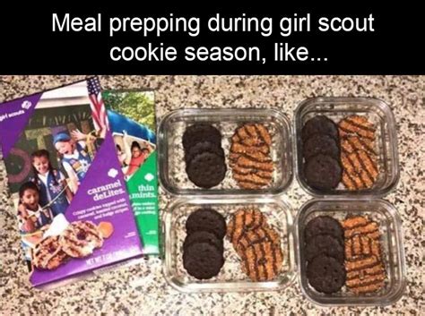 20 Girl Scout Cookie Meme 2022 Memes Feel