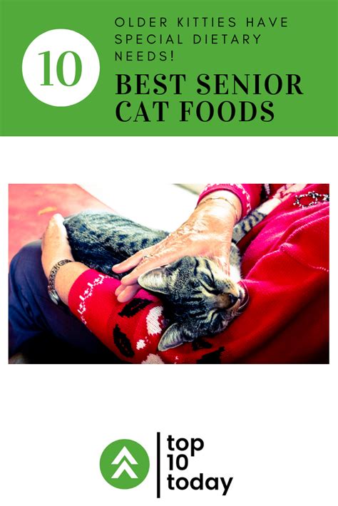 The bottom line is, 10 calories more. Top 10 Best Senior Cat Foods | Senior cat food, Food ...