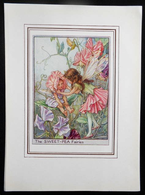 Sweet Pea Flower Fairy Vintage Print C1950 Cicely Mary Barker Book
