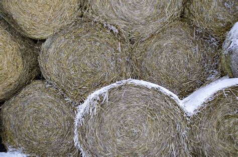 Hay Bales Free Stock Photo Public Domain Pictures