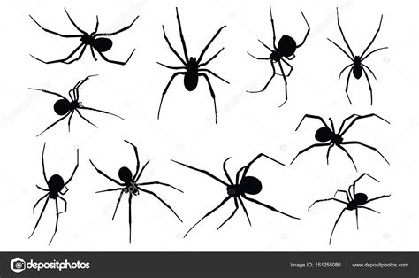 Black Widow Spider Silhouette Vector Illustration ⬇ Vector Image By