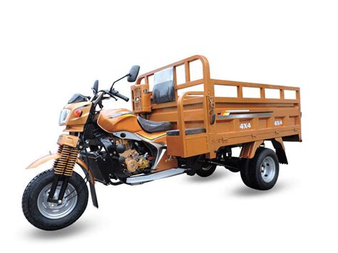 Luxury Carriage Motorized Cargo Tricycle Automatic 3 Wheel Motorcycle