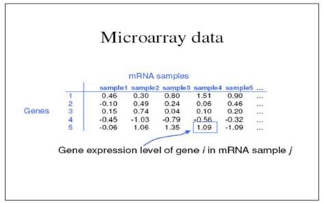 A Gene Expression Matrix Rows Indicate Number Of Genes And Columns