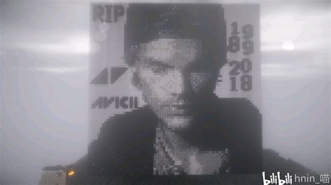 Rip Avicii 哔哩哔哩