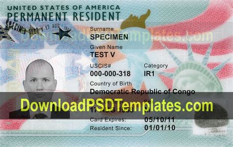 permanent resident card template psd  green card usa green